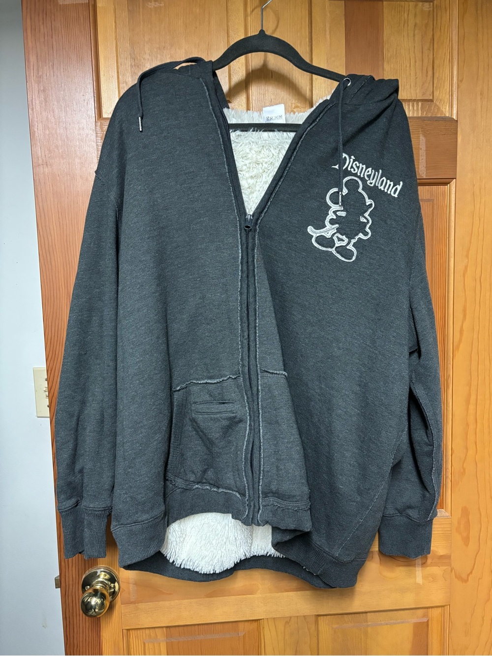 Disneyland Zip-Up Hoodie Jacket with Sherpa Lining